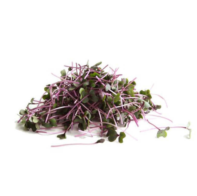 Cavolo