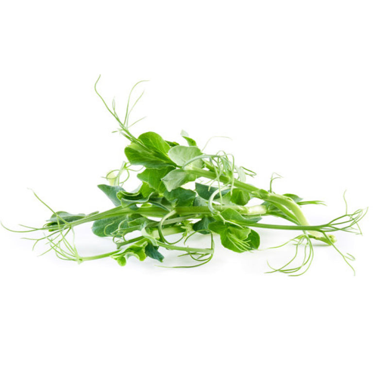 Pisello