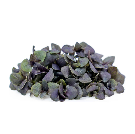 Basilico Viola