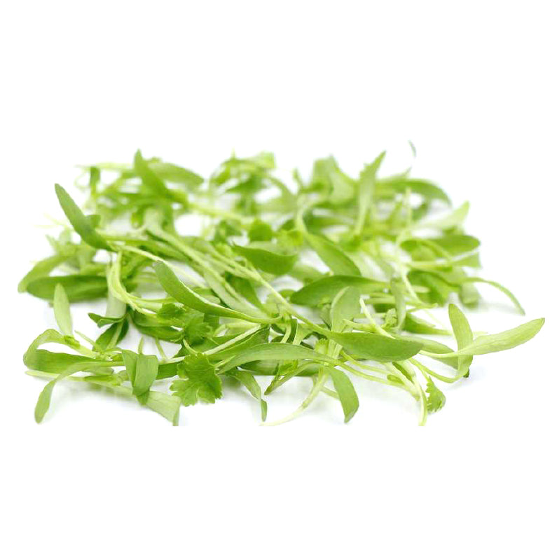 Coriandolo