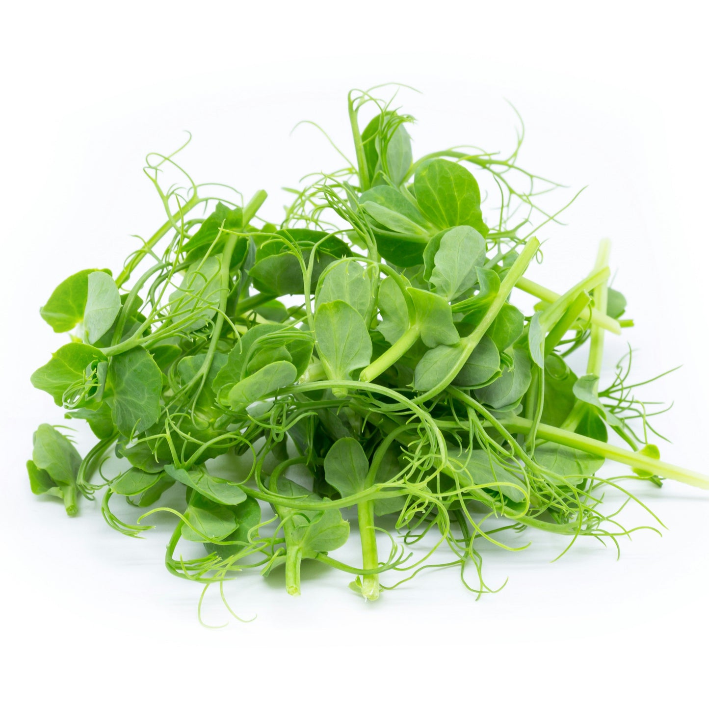 Pisello